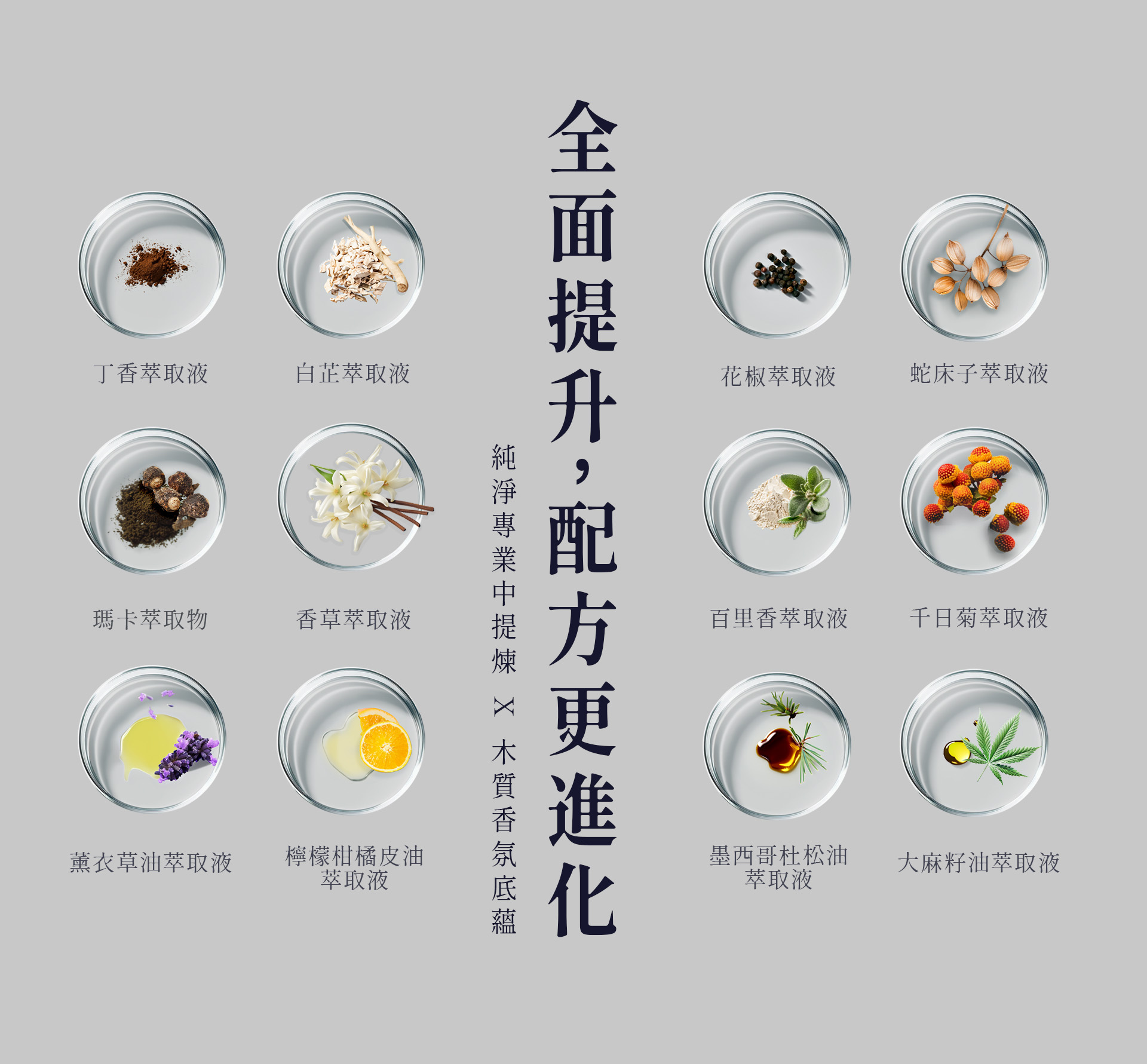 PLAY&JOY PJ1 Plus,PLAY&JOY,PLAY&JOY 潤滑液,潤滑液,水性潤滑液,矽性潤滑液,高潮液,潤滑液膠囊,隱形潤滑液膠囊,男性清潔乳,男性養護液,口交液,PJ1 Plus 男性延時噴霧