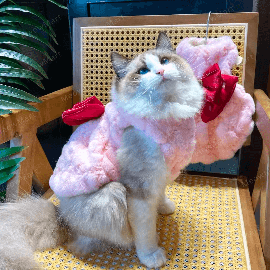 【現貨8折】紅寶石蝴蝶寵物公主裙 (貓狗適用)