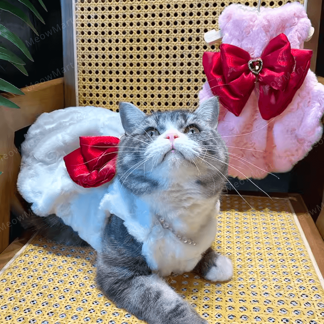 紅寶石蝴蝶寵物公主裙