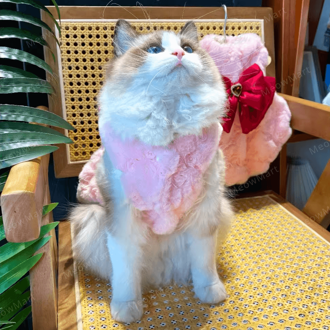 紅寶石蝴蝶寵物公主裙