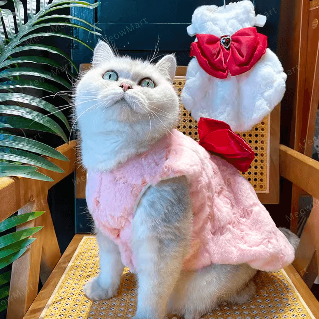 紅寶石蝴蝶寵物公主裙