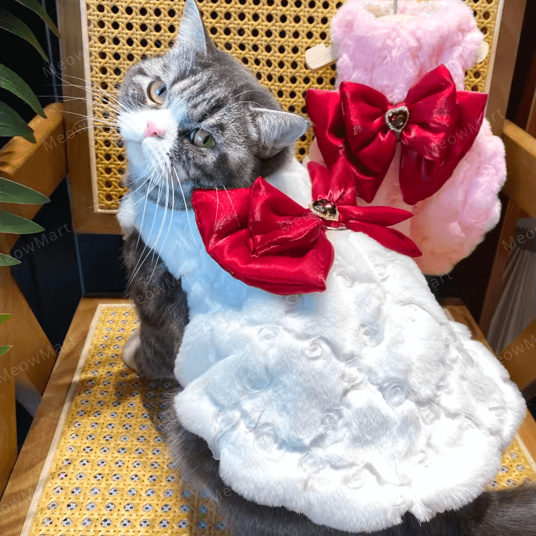 紅寶石蝴蝶寵物公主裙