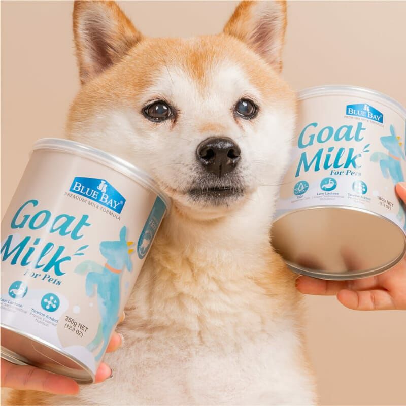 Blue Bay Goat Milk for Cats & Dogs 350g