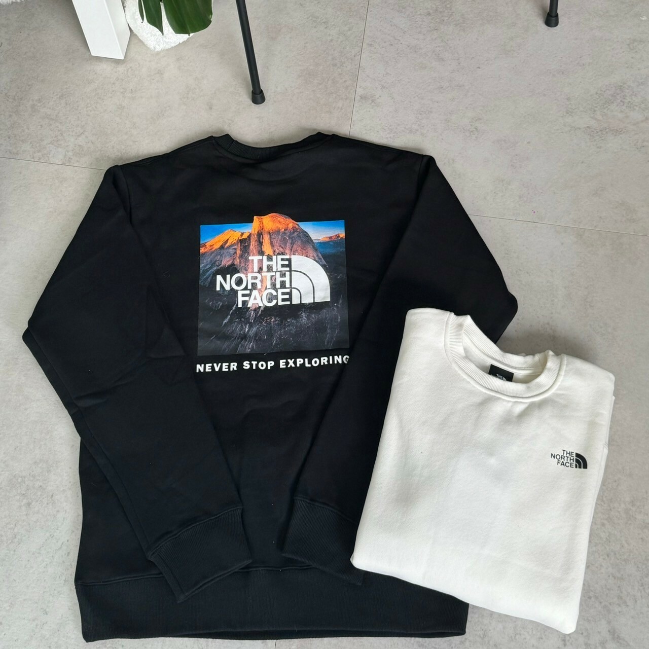 The North Face背後印刷山脈大學Tee NF0A86Q5