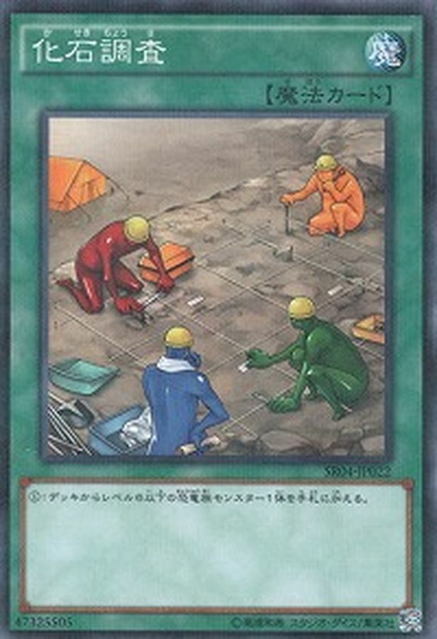 18SP-JP409 化石調査