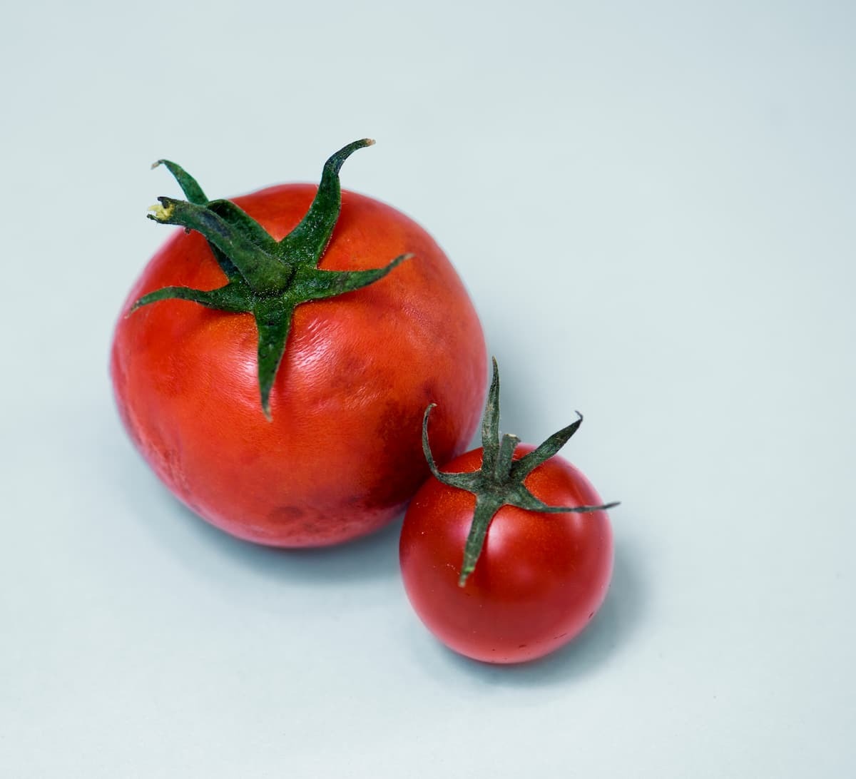 番茄-抑制黑色素，茄紅素，紫外線，黑斑，抗氧化，膚色