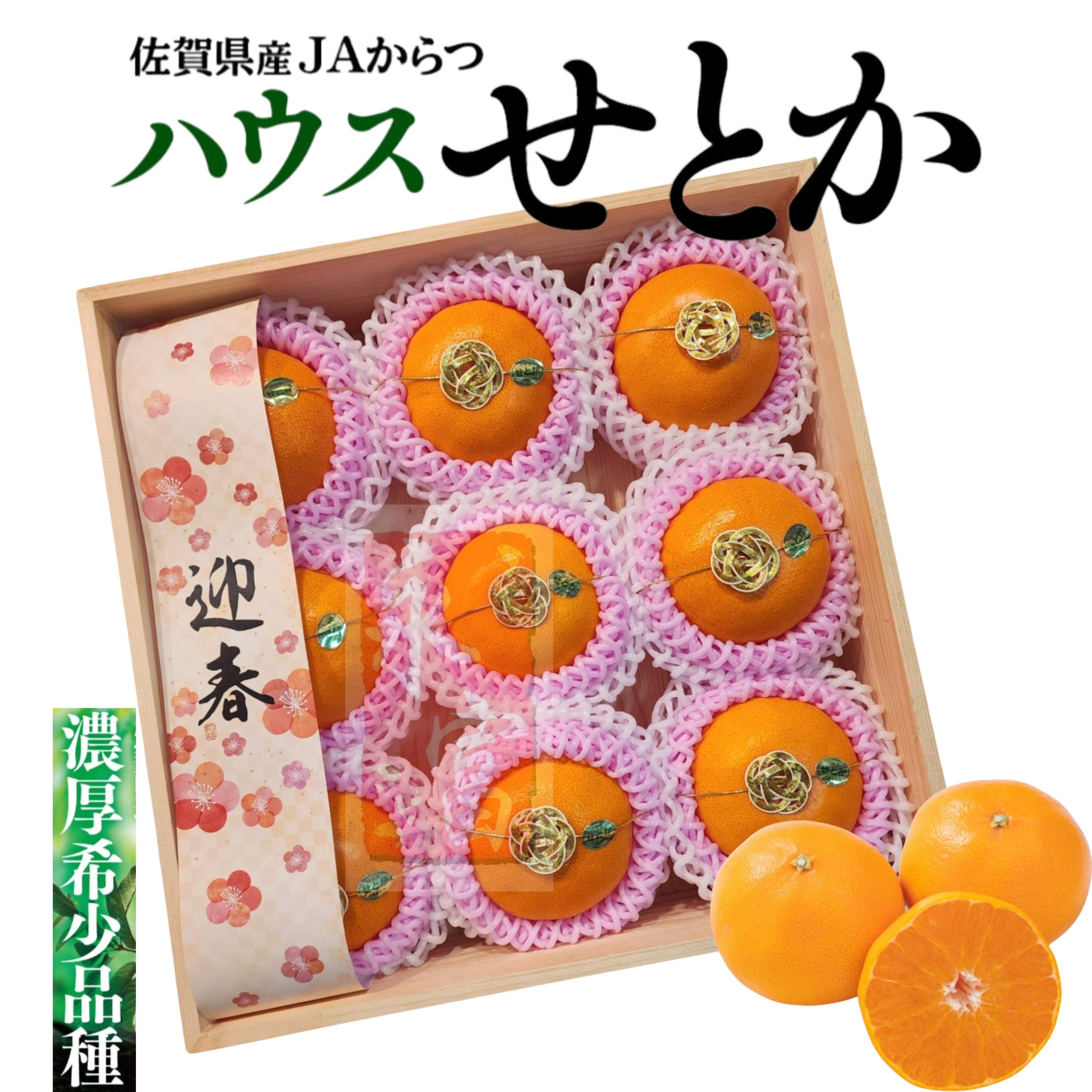 日本佐賀縣皇姬柑