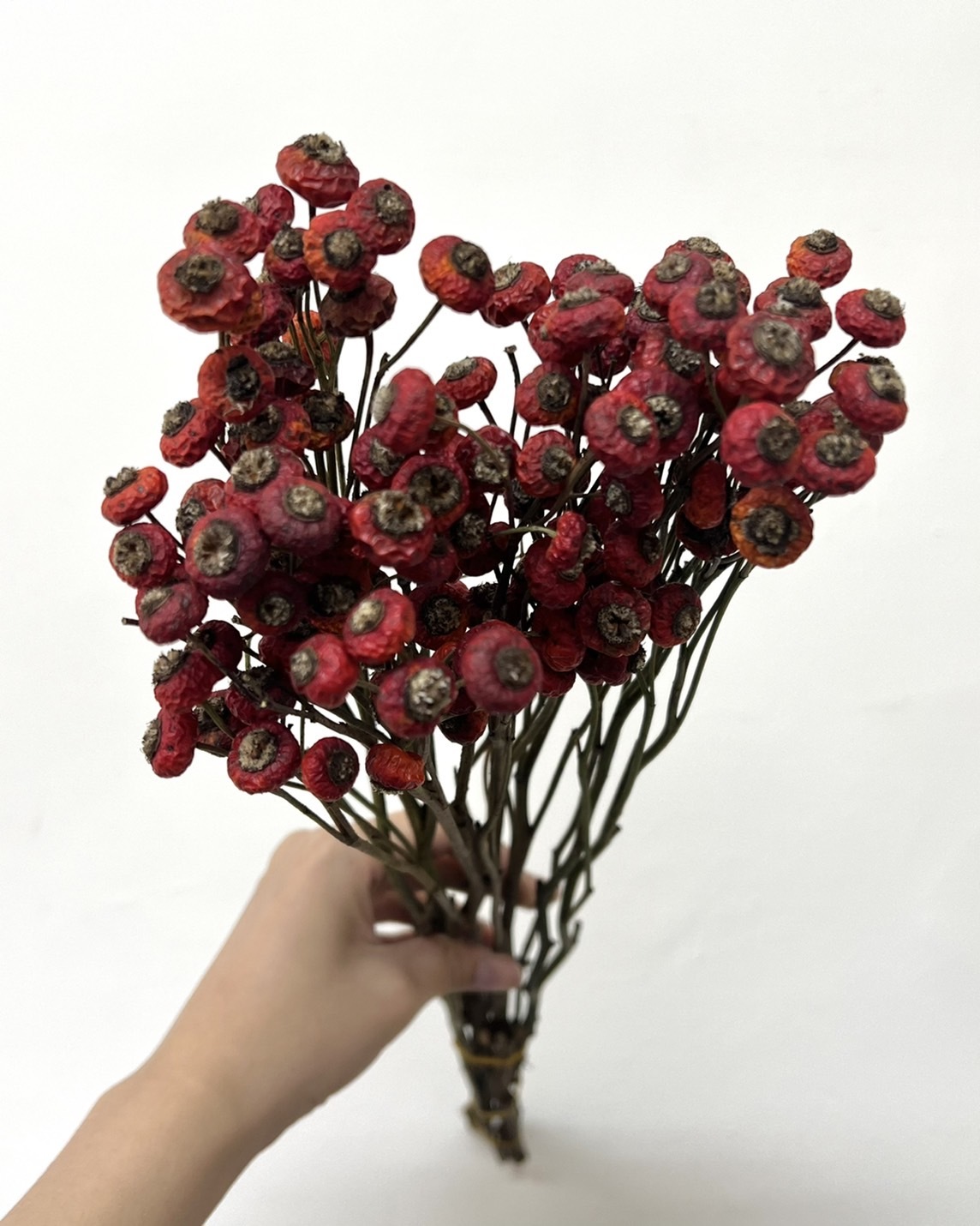 乾燥薔薇果