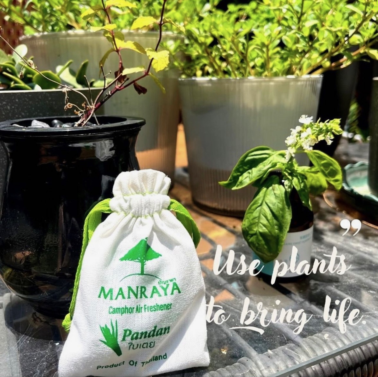 🇹🇭 泰國 MANRAYA 手工天然植物防蚊磚 35g（TF477）