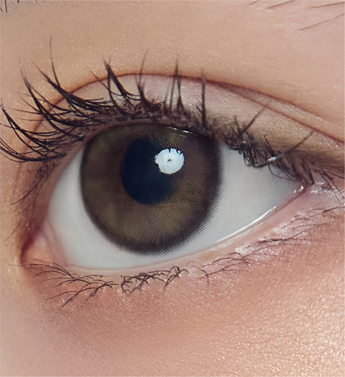 [日拋] Mimundo Susurro 1 Day Viento Garden 日拋棄彩妝隱形眼鏡｜每盒10片