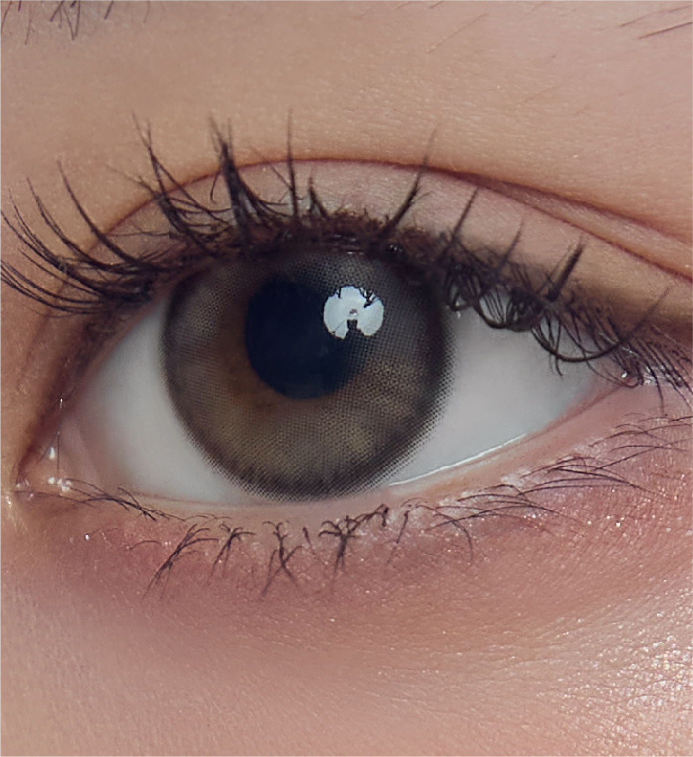 [日拋] Mimundo Susurro 1 Day Dutch Gray 日拋棄彩妝隱形眼鏡｜每盒10片