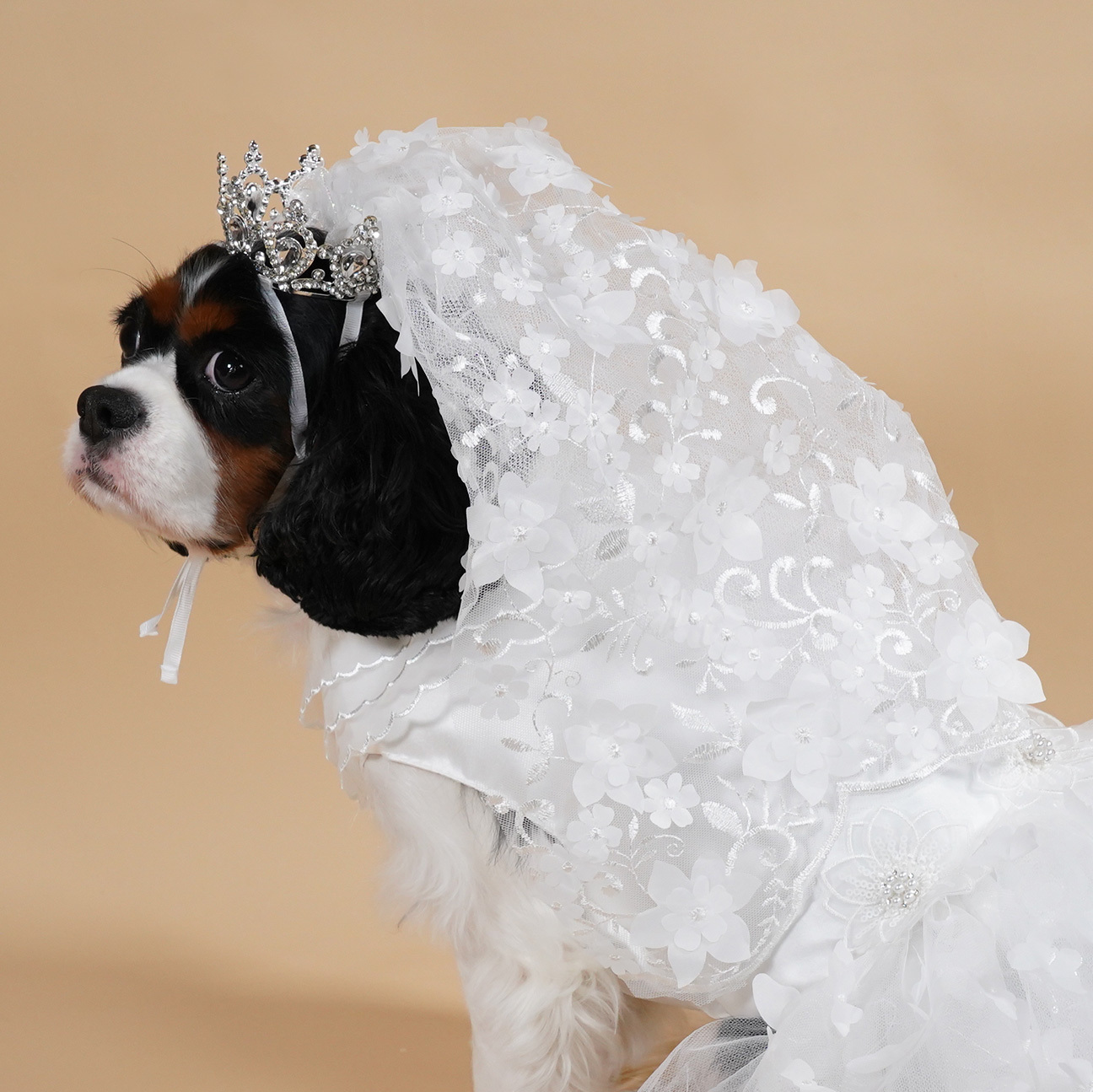Bridal Flower Veil with Stone Crown