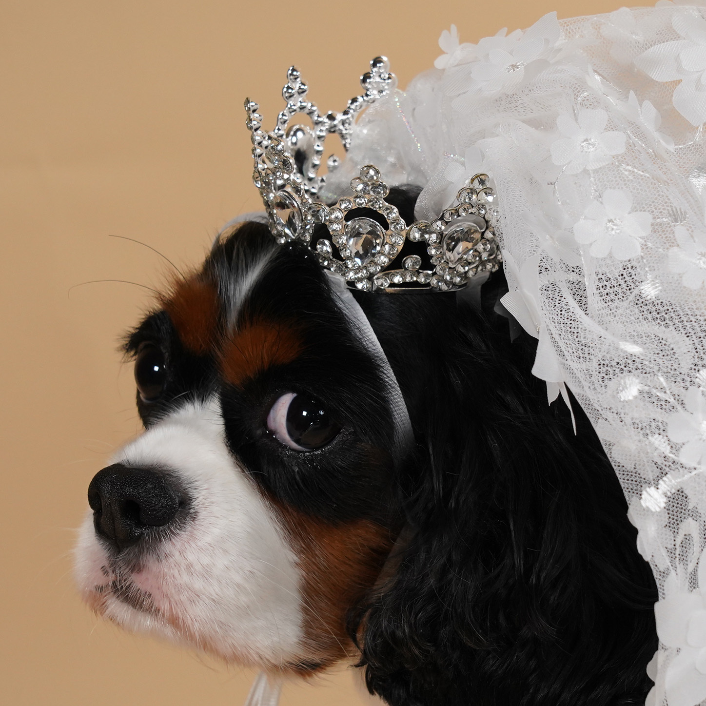 Bridal Flower Veil with Stone Crown