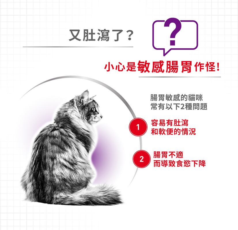 Royal Canin法國皇家 貓糧 腸胃敏感配方 10kg