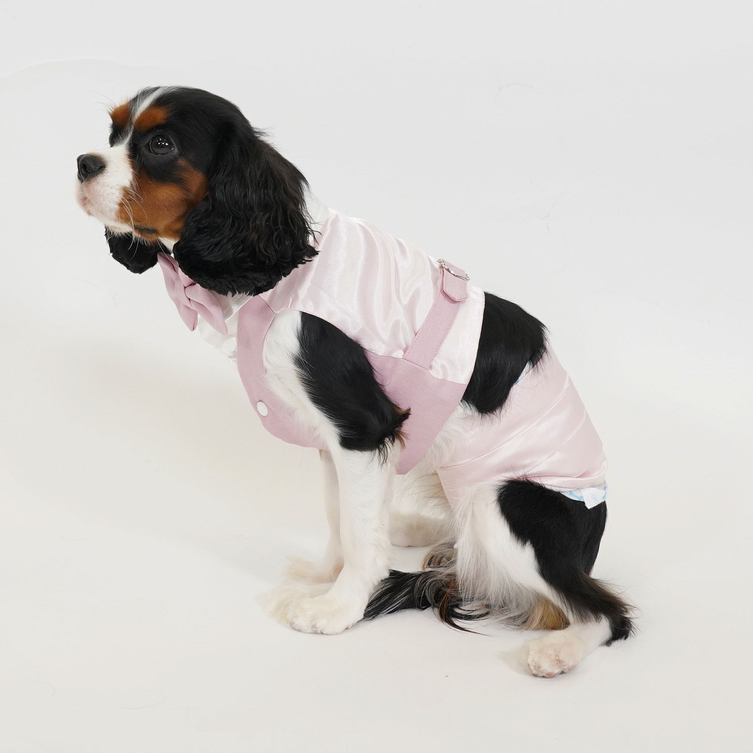 Male Dog Belly Wrap - Pink