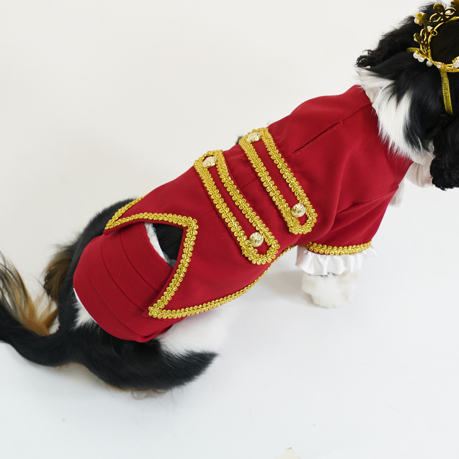 Male Dog Belly Wrap - Red