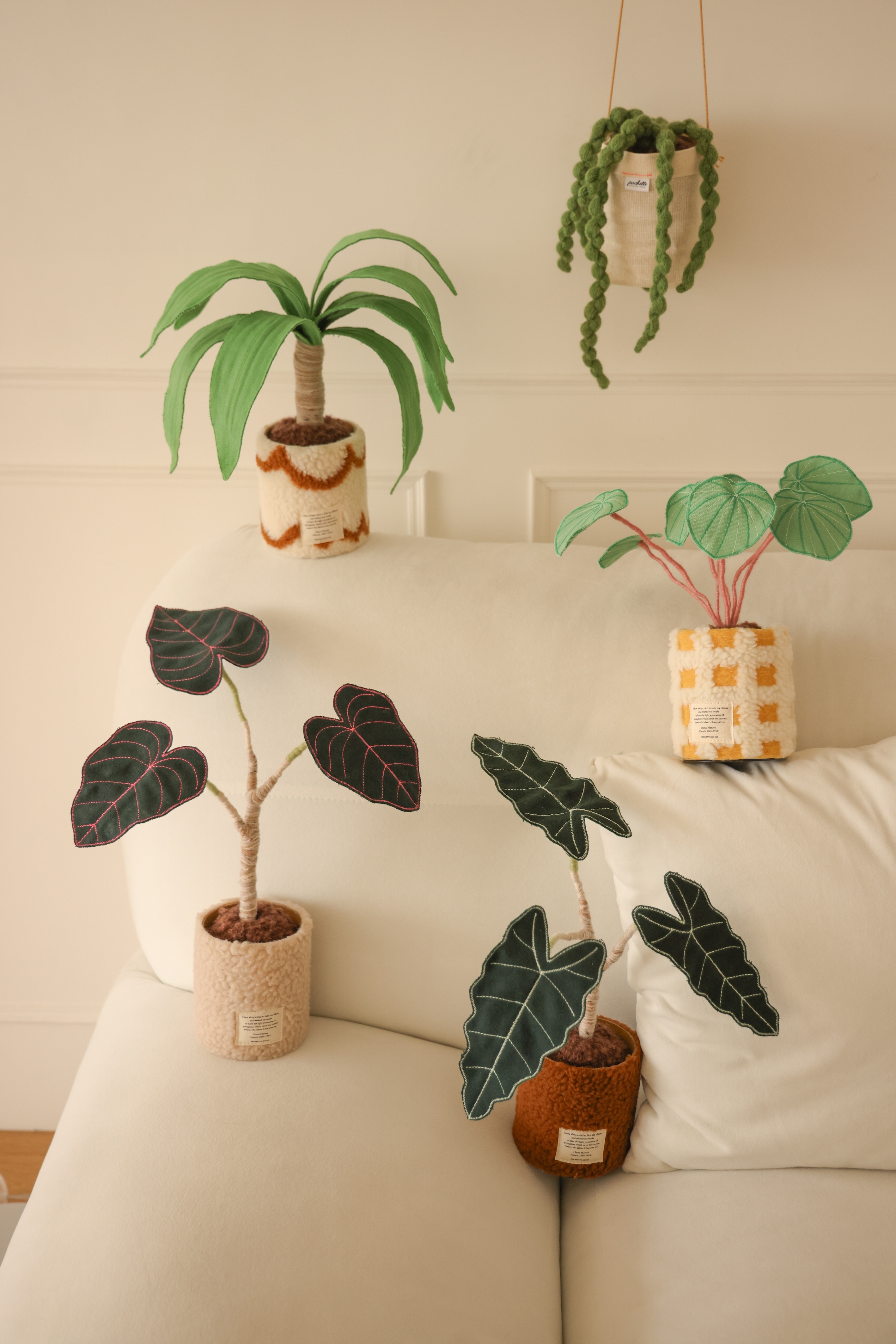 韓國 POCHETTE 布植物🪴