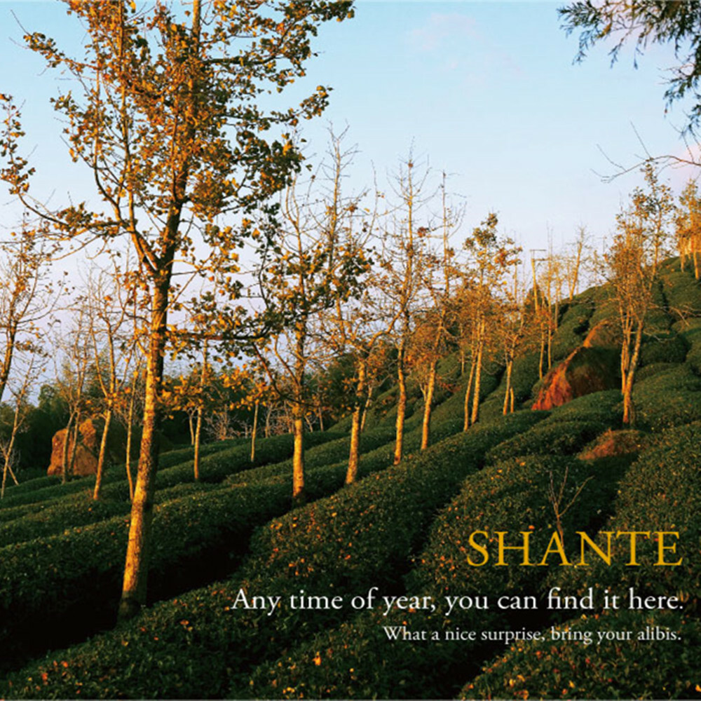 【溪頭】夏緹飯店 住宿券 Ⓣ