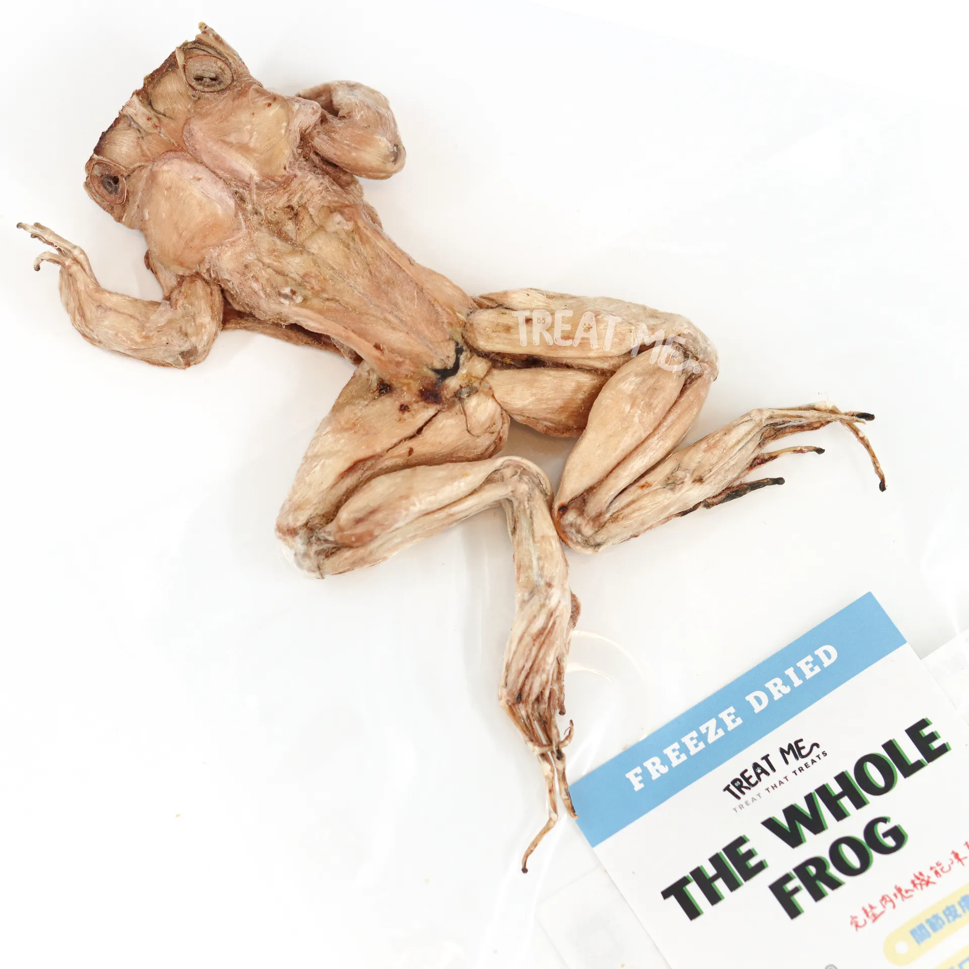 TREAT ME 食癒毛小孩 ｜牛蛙呱呱呱