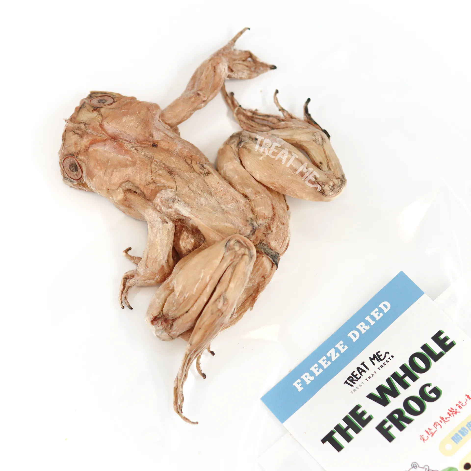 TREAT ME 食癒毛小孩 ｜牛蛙呱呱呱