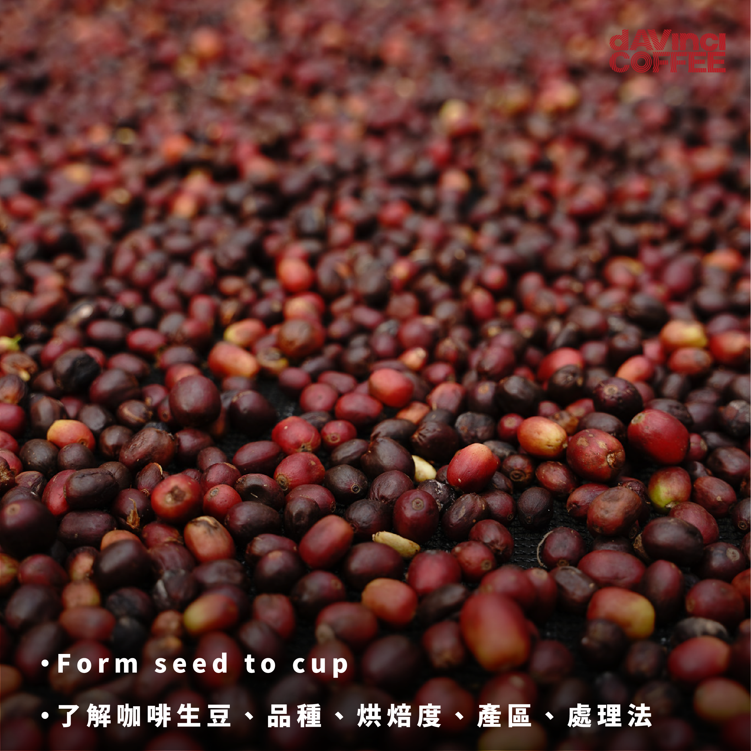 SCA 義式咖啡師 初中階國際認證－CSP新制課程