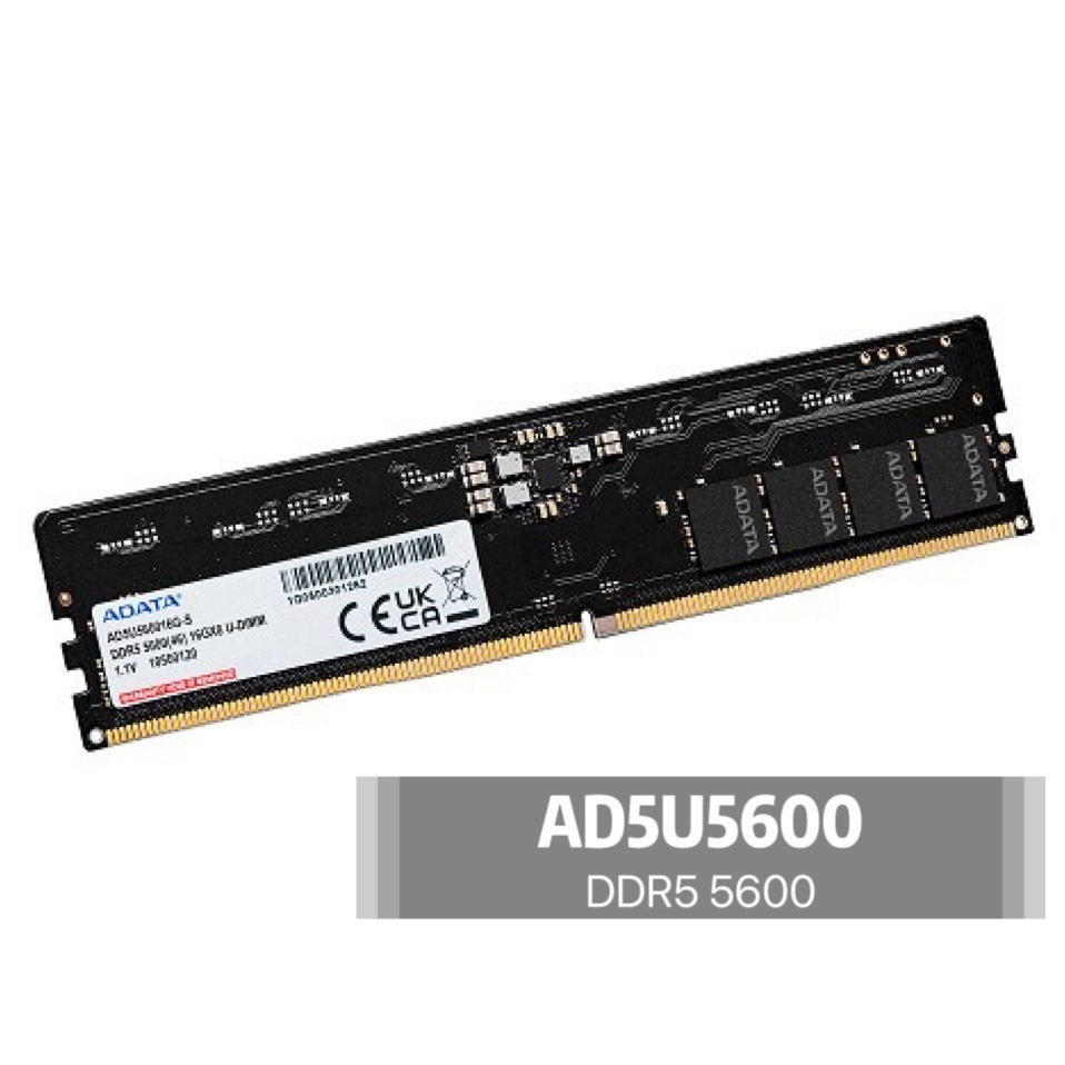 ADATA 威剛 DDR5 5600 8GB / 16GB / 32GB PC RAM 桌上型記憶體 (AD5U5600)