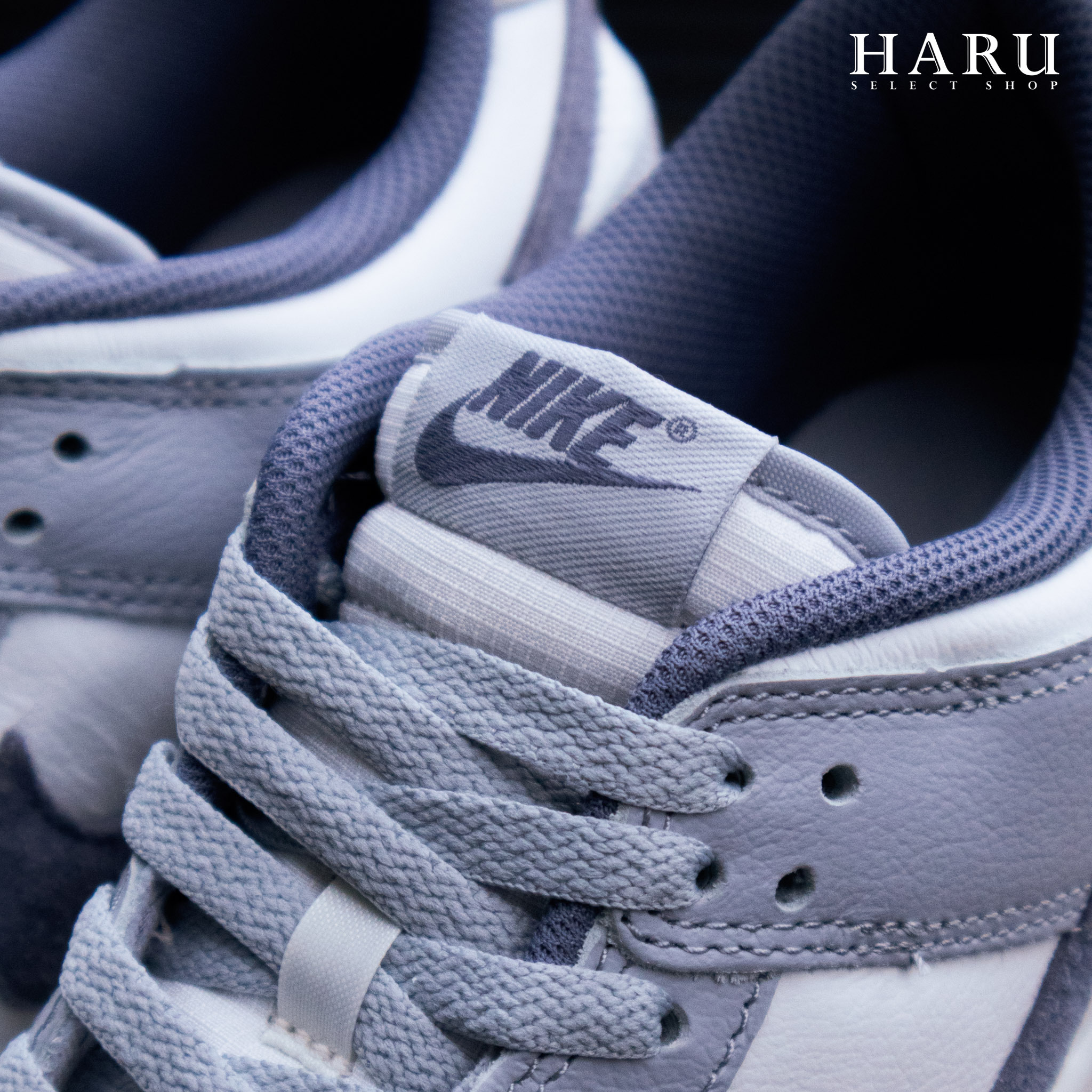 NIKE DUNK LOW LIGHT CARBON 煙灰 淺炭灰 灰紫 莫蘭迪 麂皮 低筒 男生 GS大童 復古休閒鞋 FJ4188-100 FB9109-101