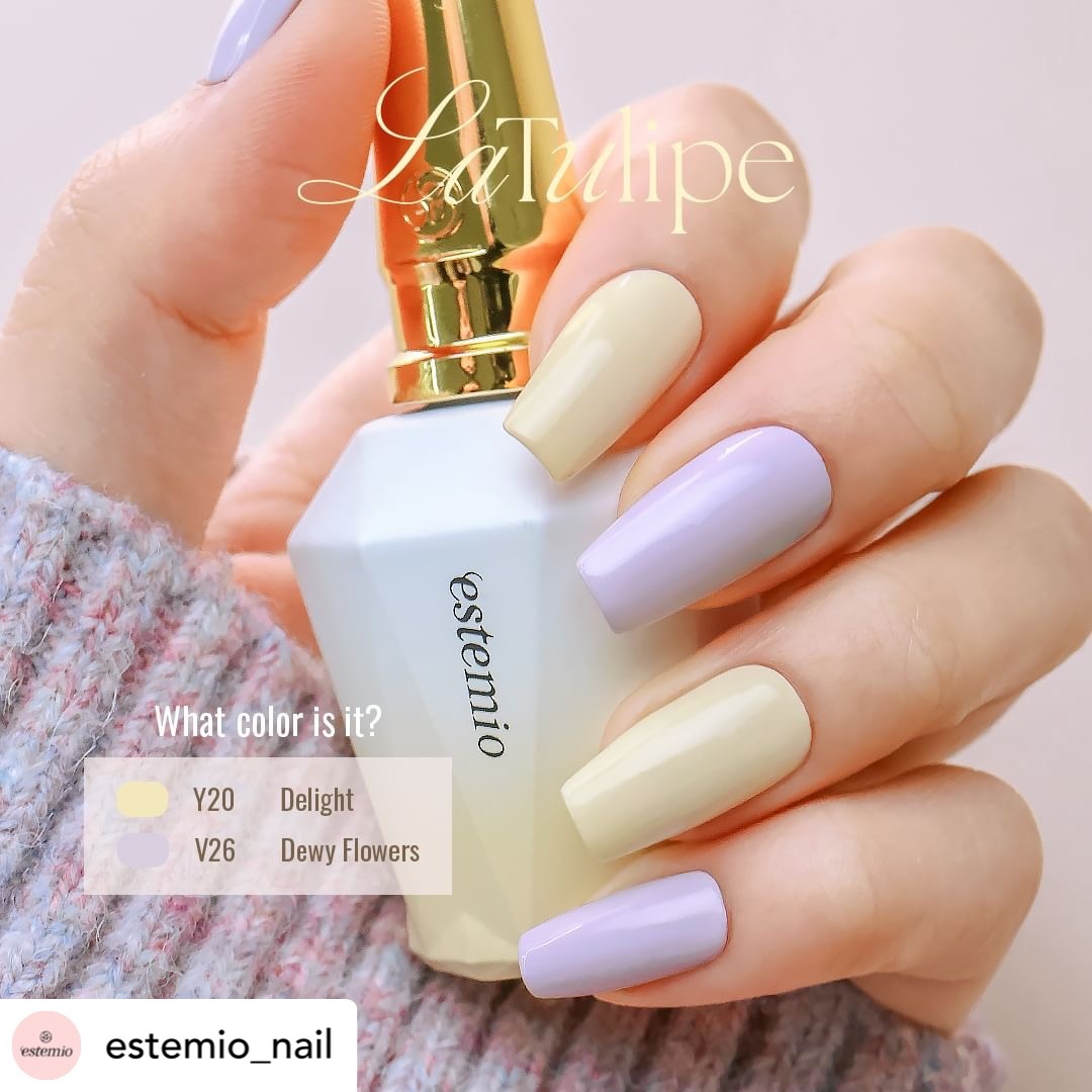 Estemio Y20🌷~La Tulipe~