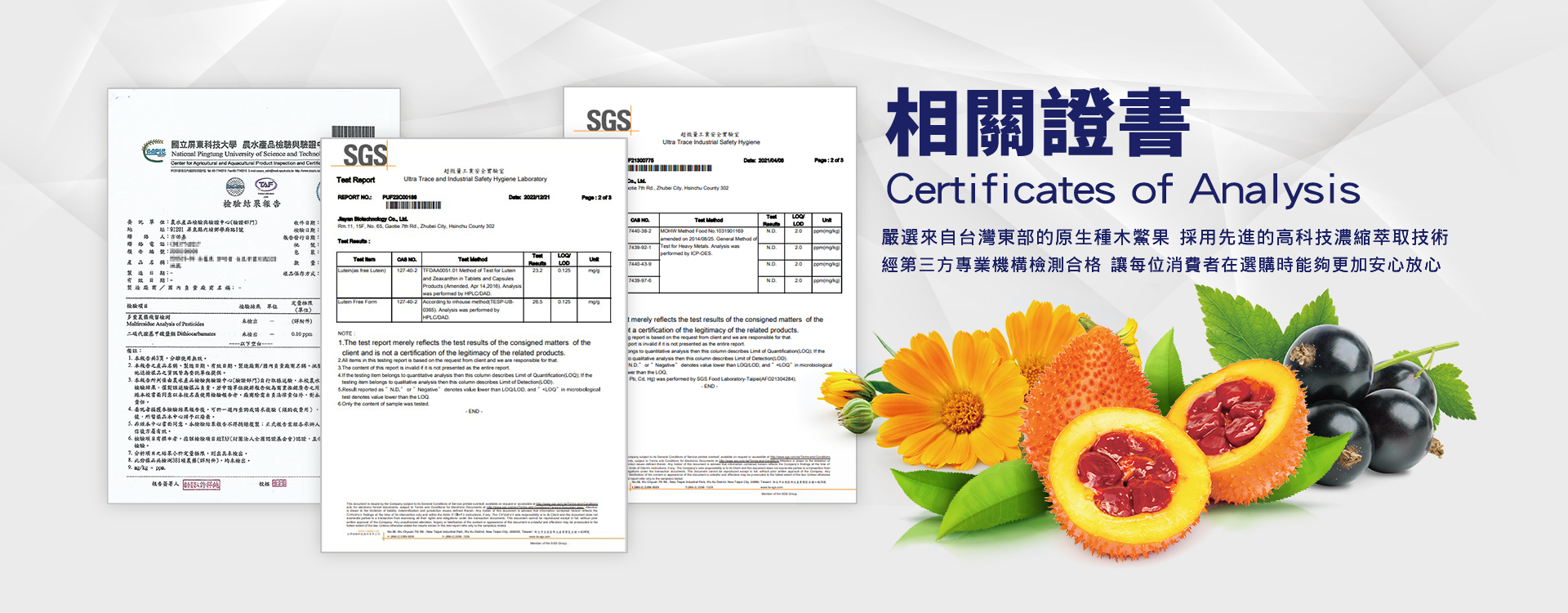 檢驗證書,法律顧問,商業保險