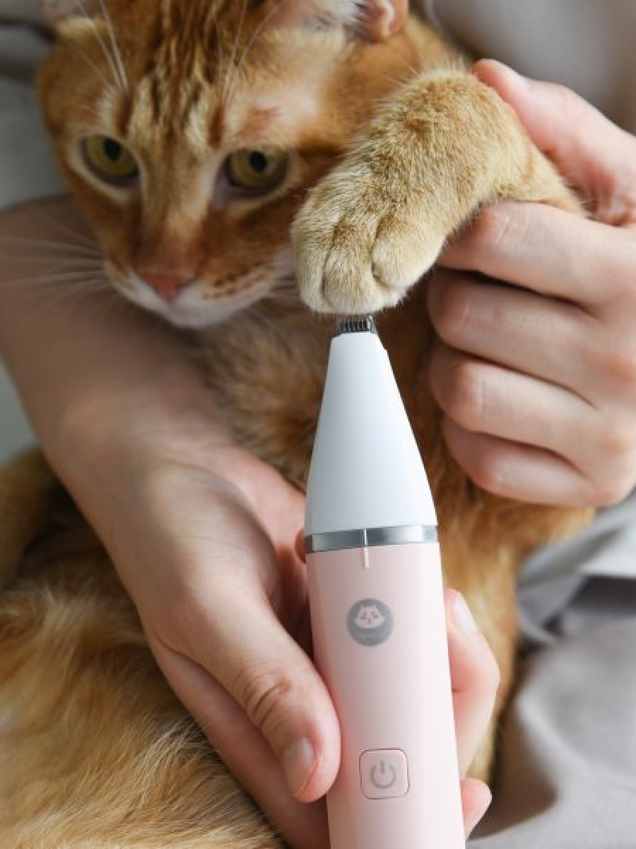 【貓樂園 ParkCat】安心剃 美掌機｜四合一剃毛器