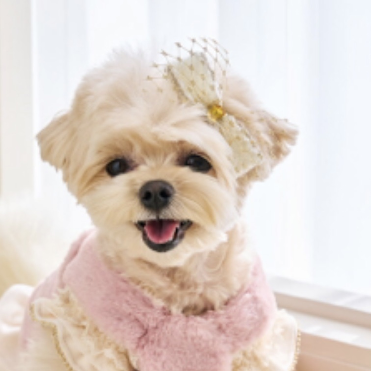 髮夾-紗金珍珠Gold_Pearl-Cream奶油 髮夾 髮飾-It’s sunny outside