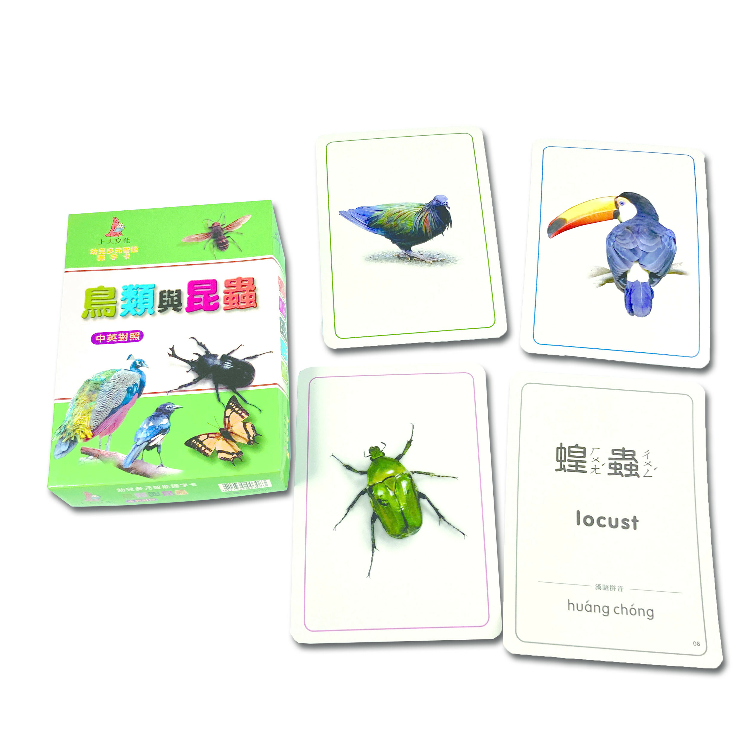 《 上人出版 》 鳥類與昆蟲(大識字卡)