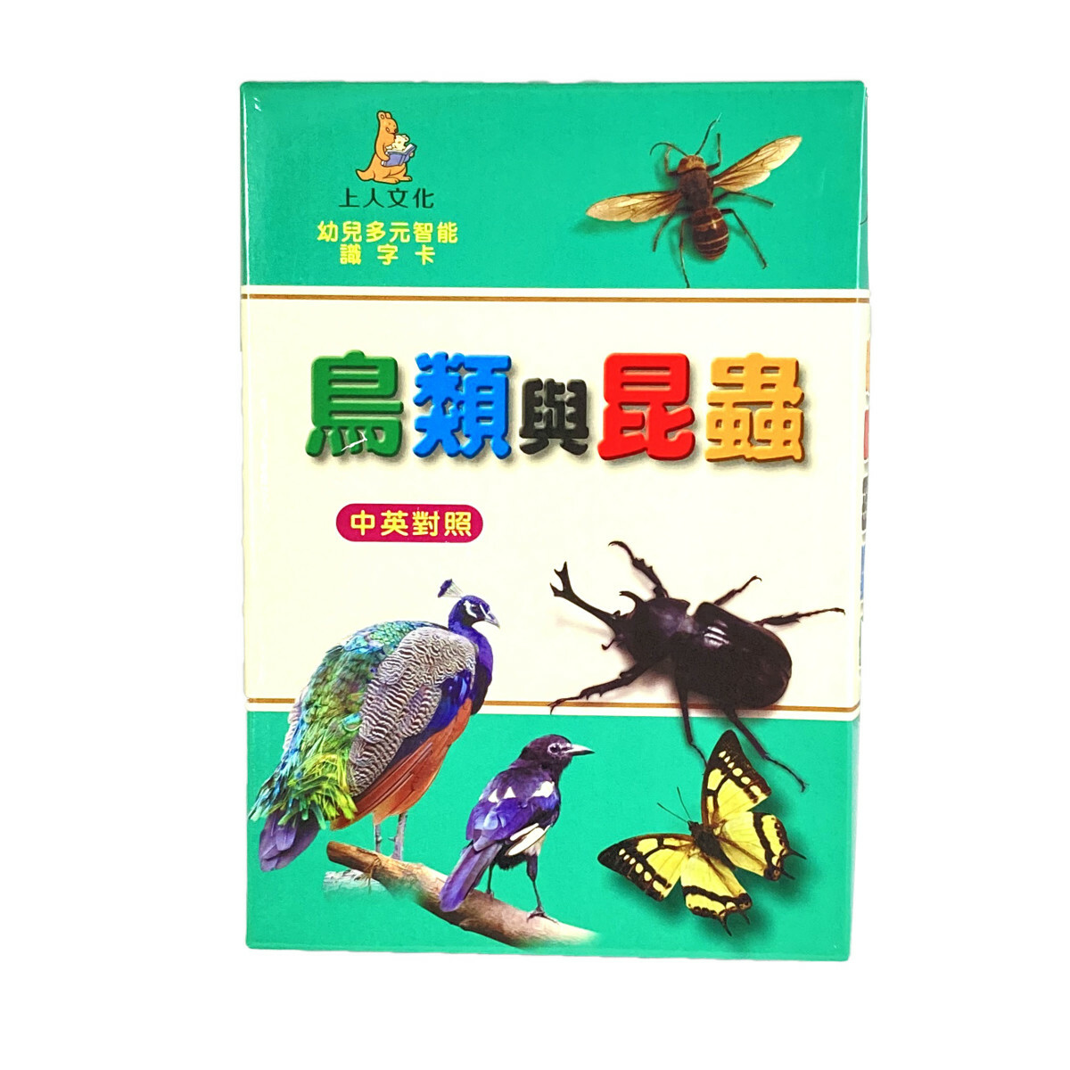 《 上人出版 》 鳥類與昆蟲(大識字卡)