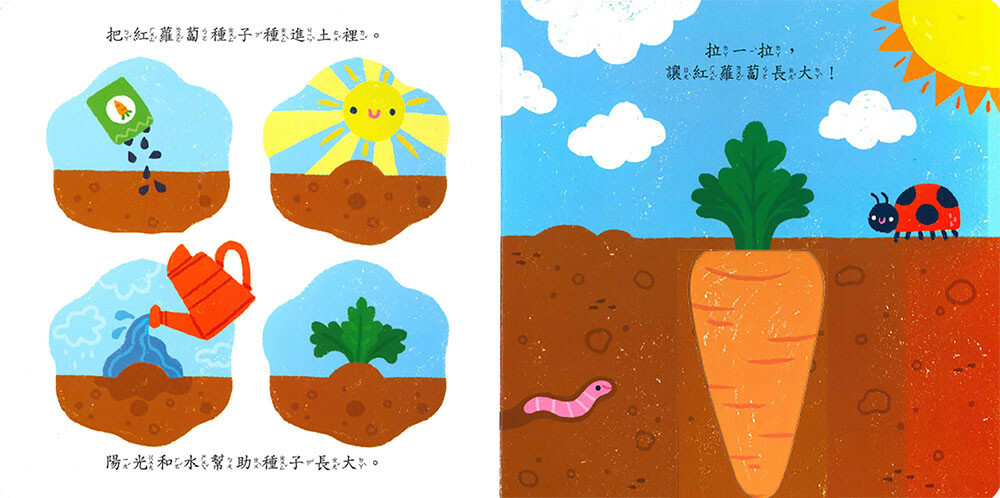 《 上人出版 》 大型推拉轉-看我長大