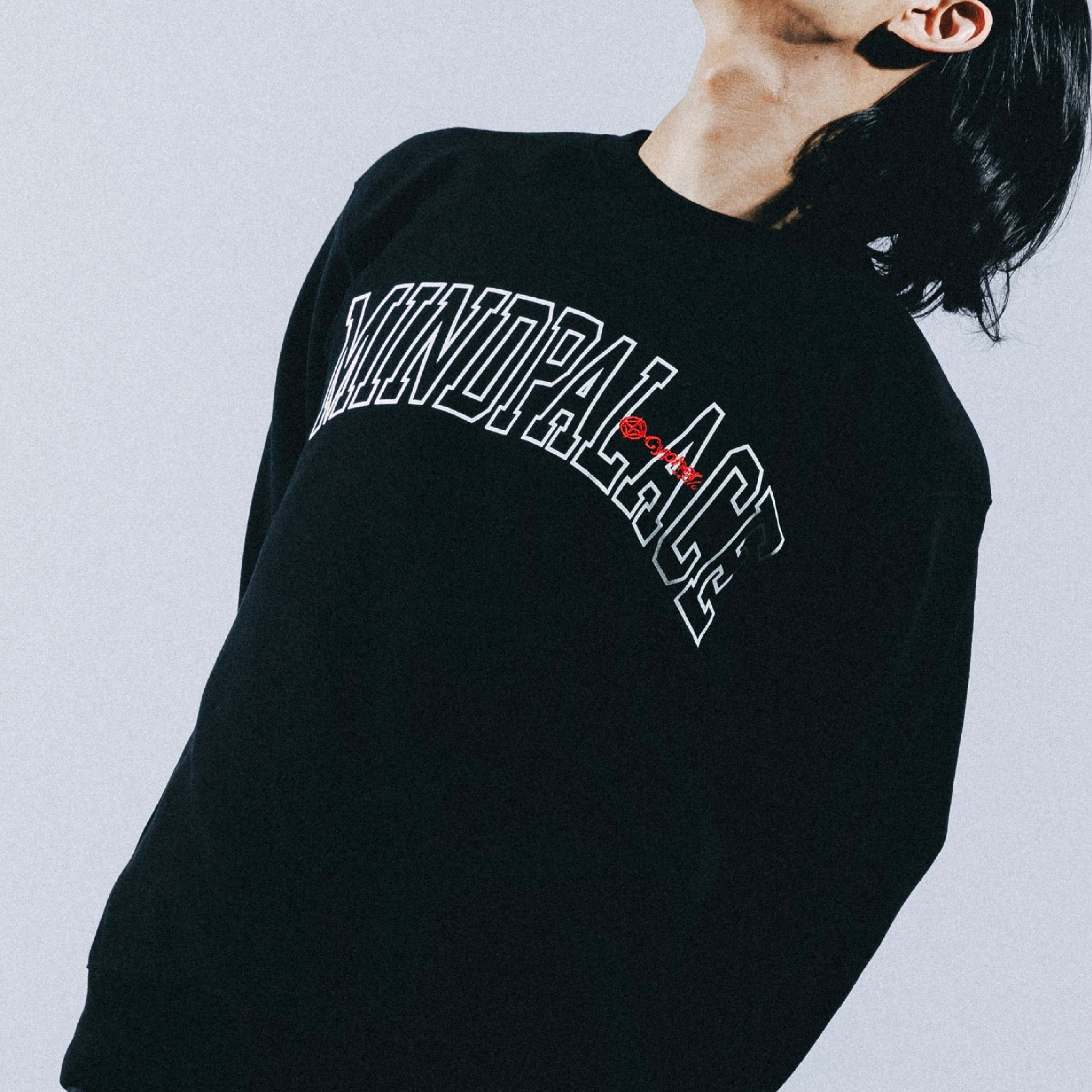 Cyphercode College Logo Crewneck Sweat 學院 圓領大學Tee