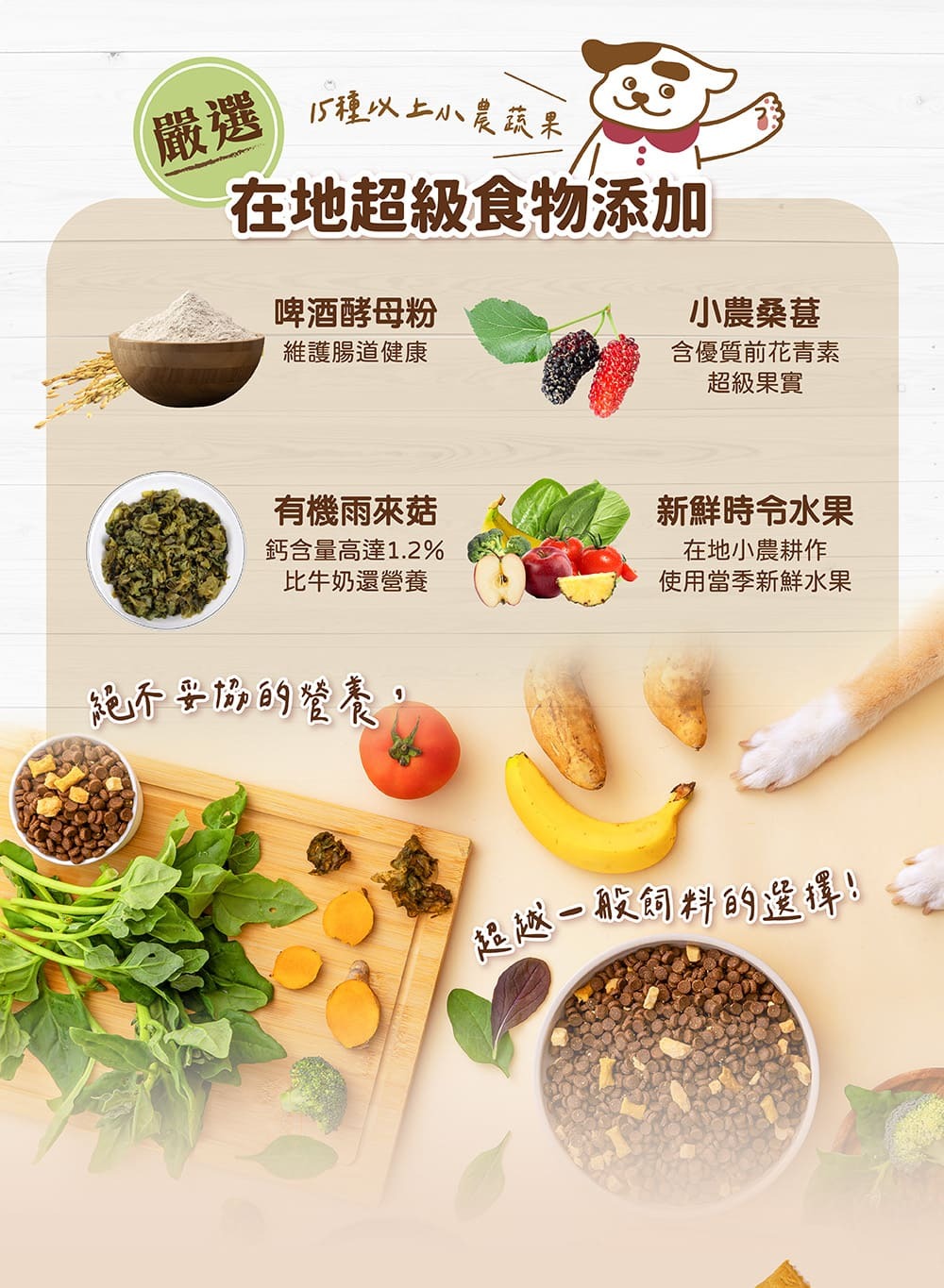 超級食物添加,啤酒酵母粉,腸道清道夫,有機雨來菇,鈣質比牛奶還多