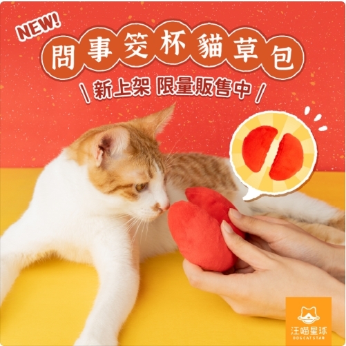 汪喵星球｜問事筊杯貓草包2入組
