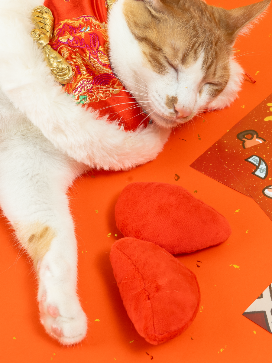 【汪喵星球】問事筊杯貓草包｜限量發售