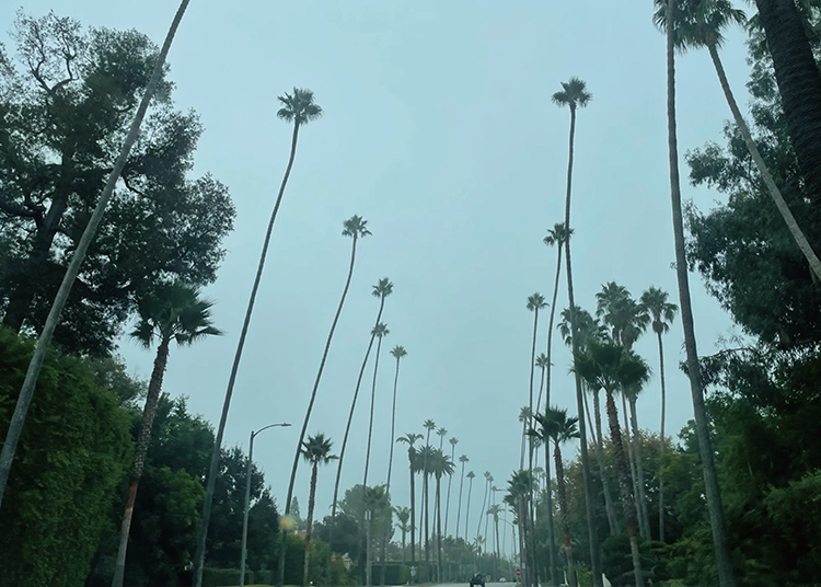 洛杉磯設計之旅：與 Jaime Derringer 的西岸設計之旅