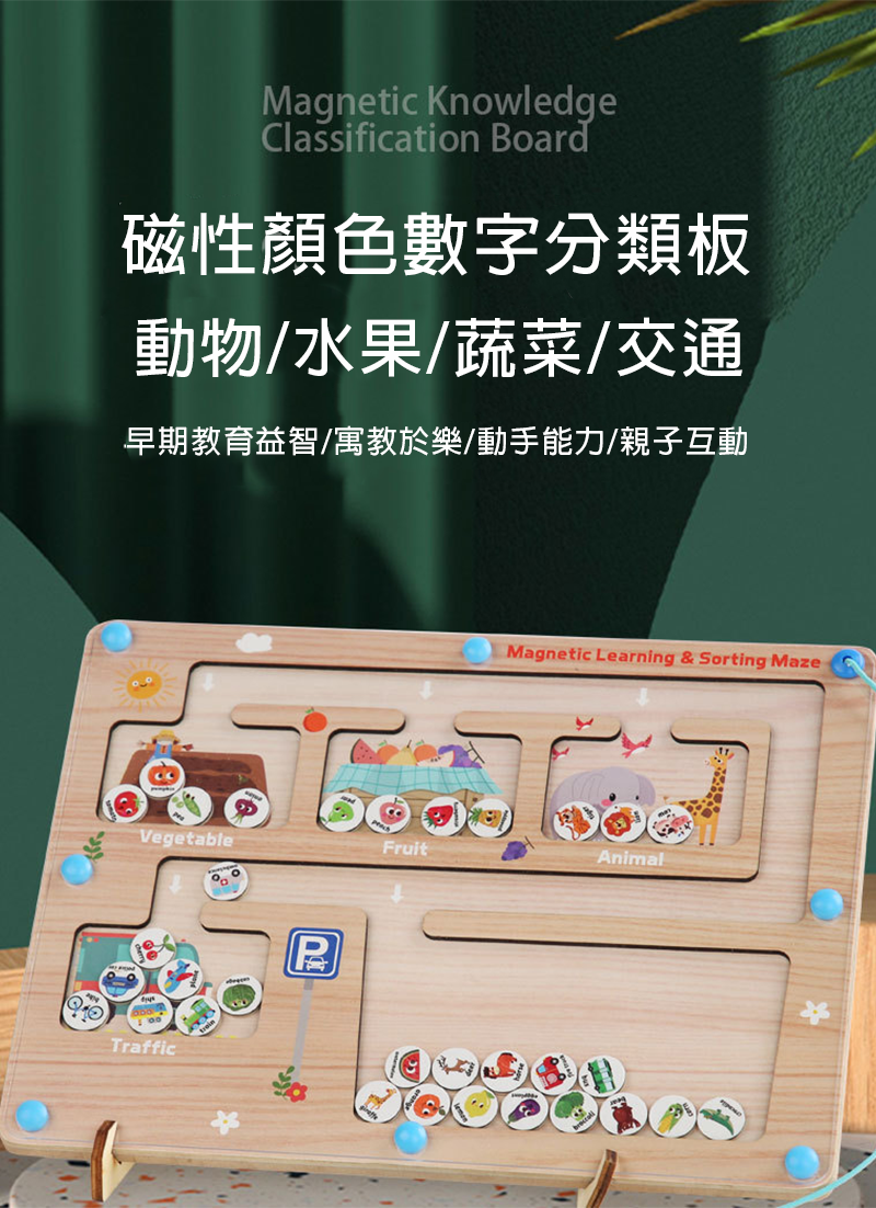 磁性顏色數字分類板 MT213