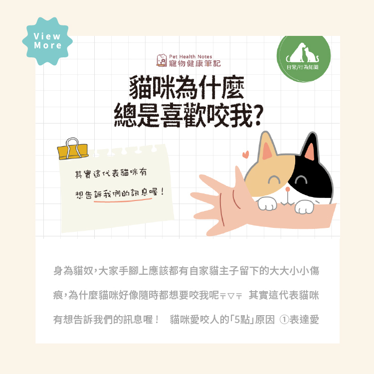 寵物健康筆記,pethealthnotes,寶昕,毛孩,喵喵,喵星人 ,貓奴日常,貓奴,貓,貓,pet,cat,寵物,知識文章,獸醫師,貓咪咬人