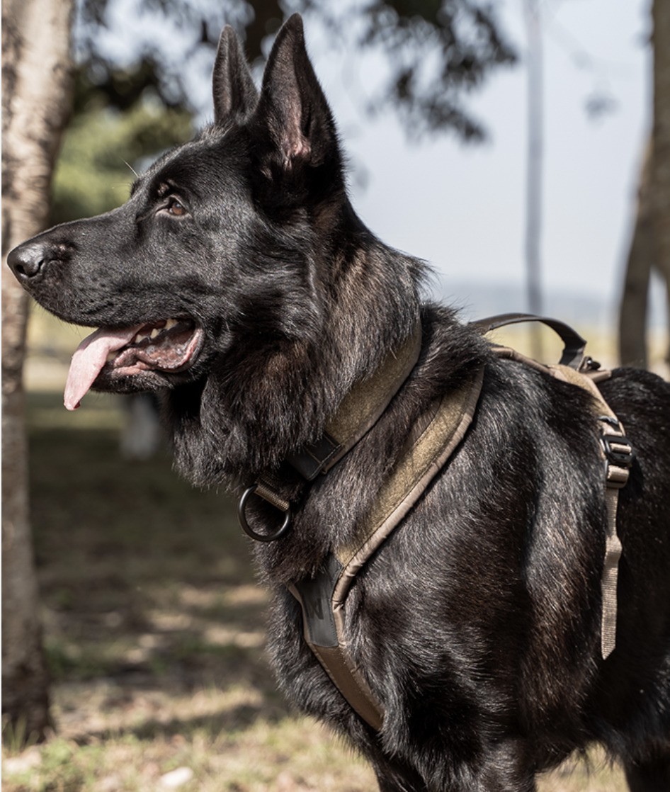 【Non-stop dogwear】LINE 胸背帶 (手把款) / WD工作犬 系列