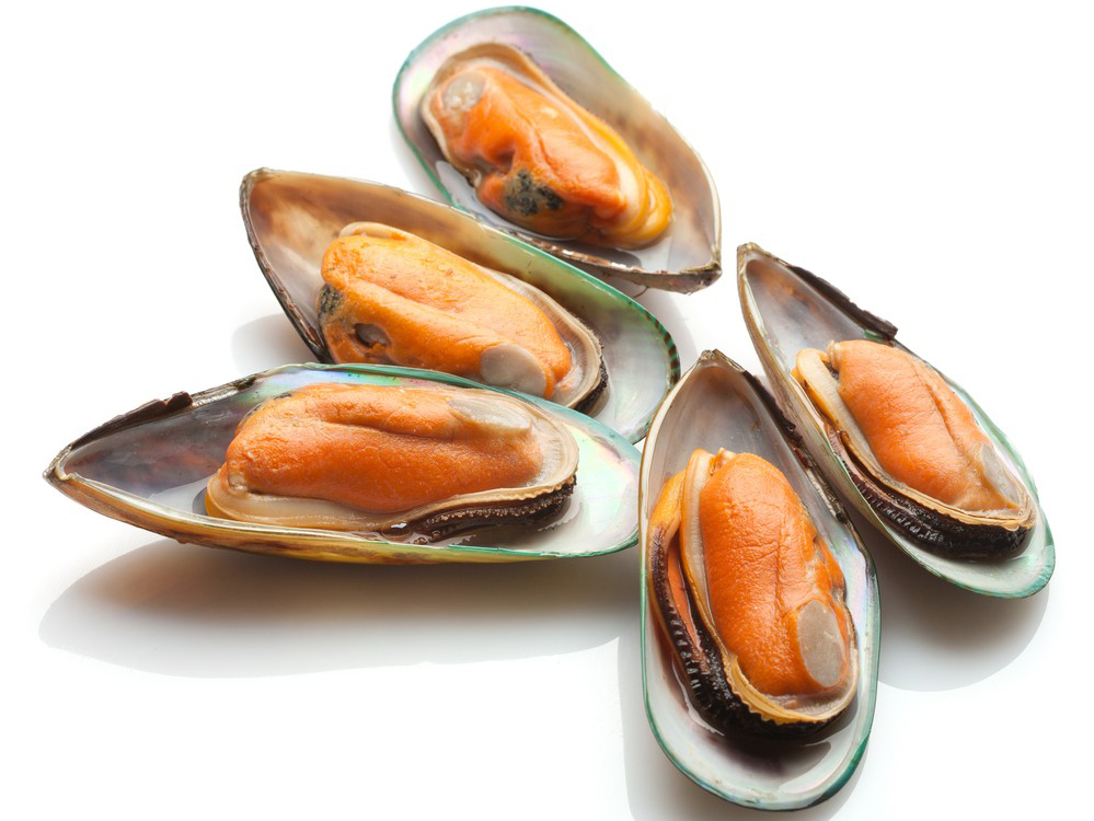 半殼青口 1kg/盒