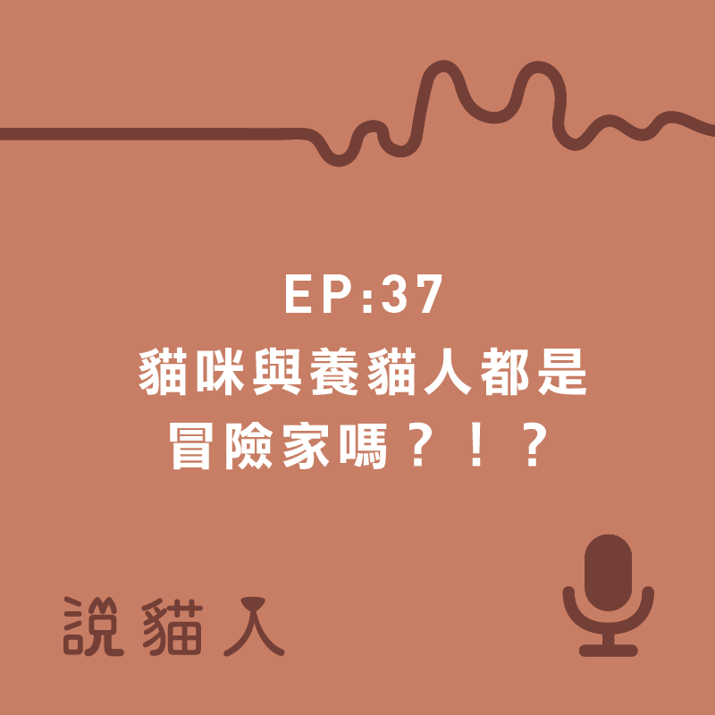 說貓人,貓咪,寵物, 拍拍, 寵物用品設計, 單熙汝, 動物行為,動物心理,貓咪戶外活動