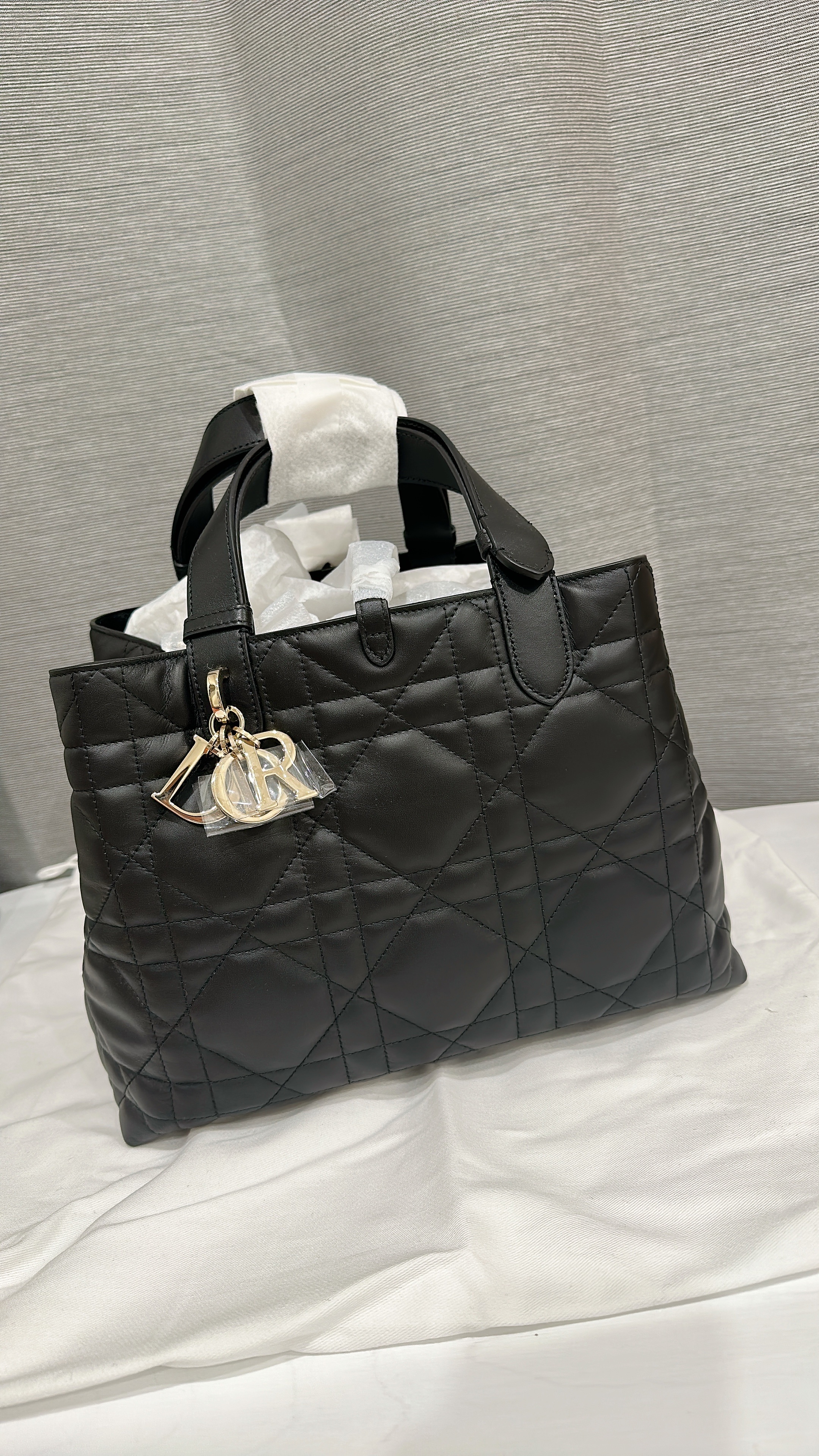 Dior Toujours Medium