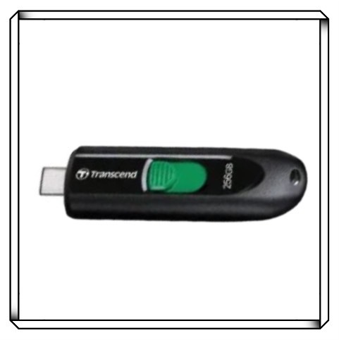 TRANSCEND 創見 JetFlash 790C 64G 128G 256G USB TYPE-C 3.2 Gen1隨身碟/803941