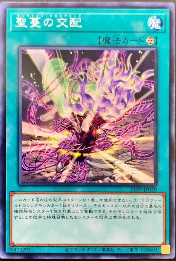 21PP-JP020 聖蔓の交配