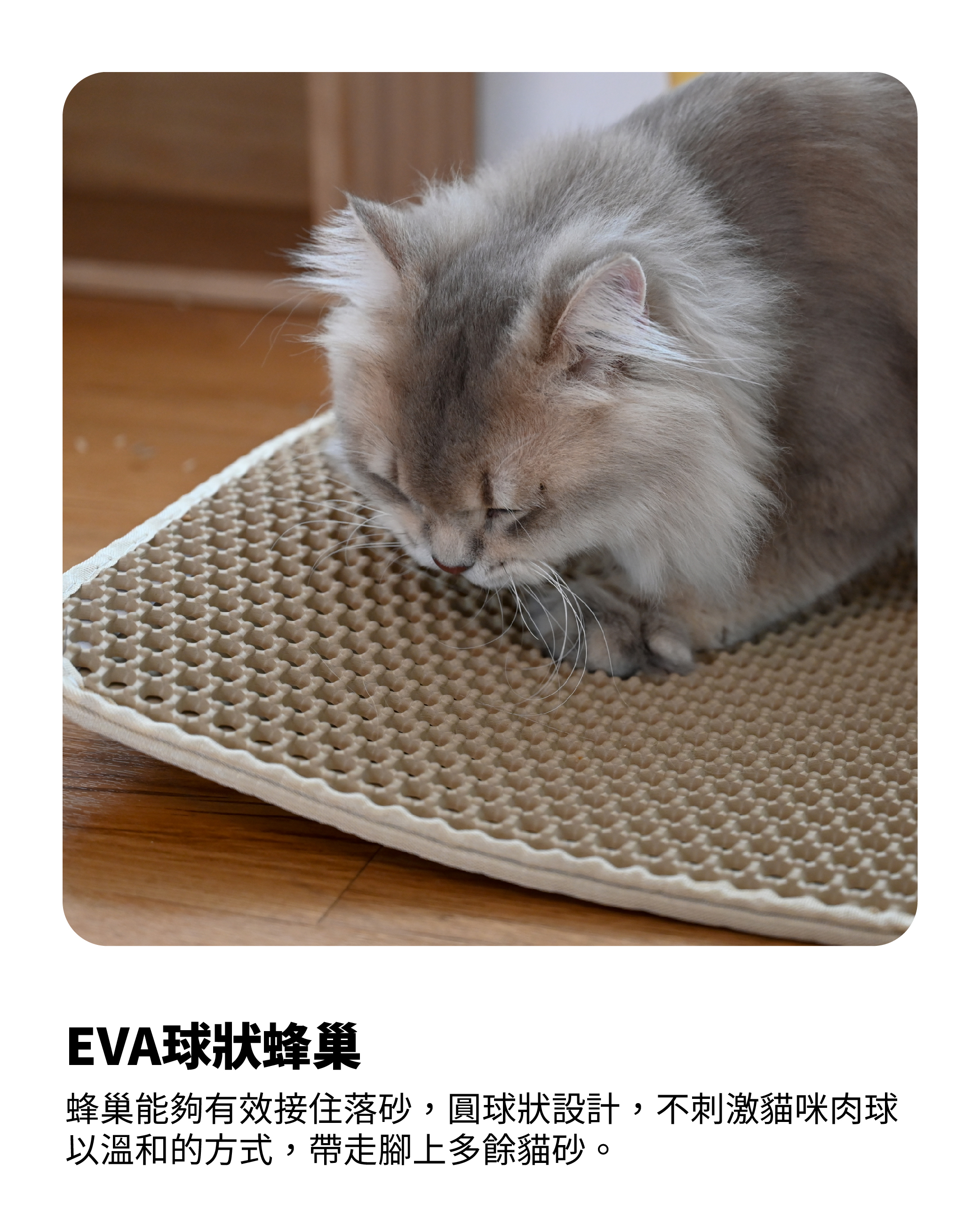 EVA球狀蜂巢