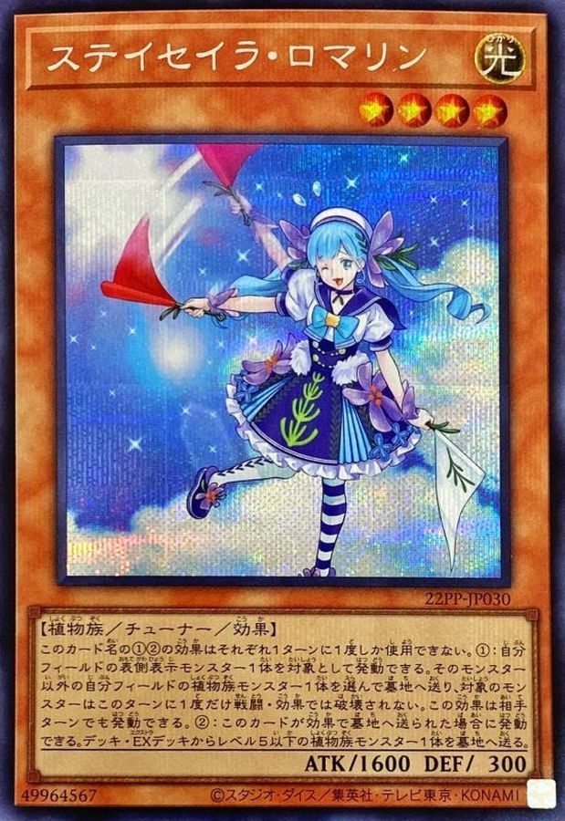 22PP-JP030 ステイセイラ・ロマリン