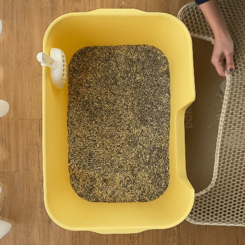 多於貓砂，倒回貓砂盆